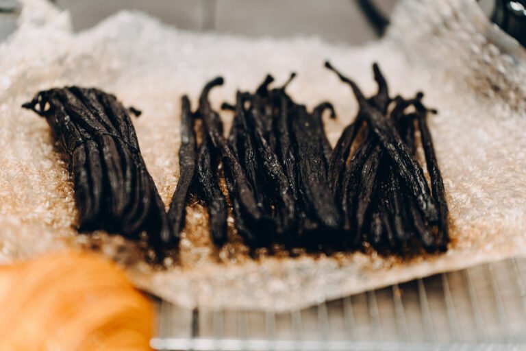 Masterclass 4 DSC05171-HD